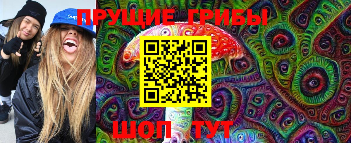 Минусинск  Галлюциногенные грибы прущие грибы  Вход с VPN 