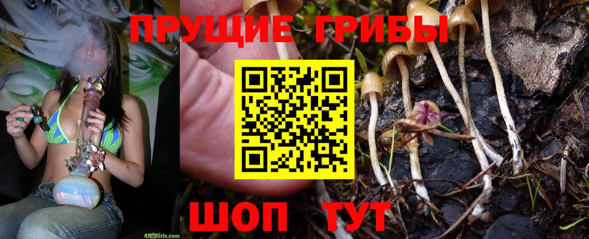 Псилоцибиновые грибы MAGIC MUSHROOMS Минусинск